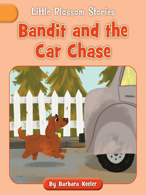 cover image of Bandit and the Car Chase